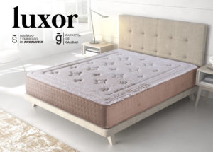 Suitex_Luxor1